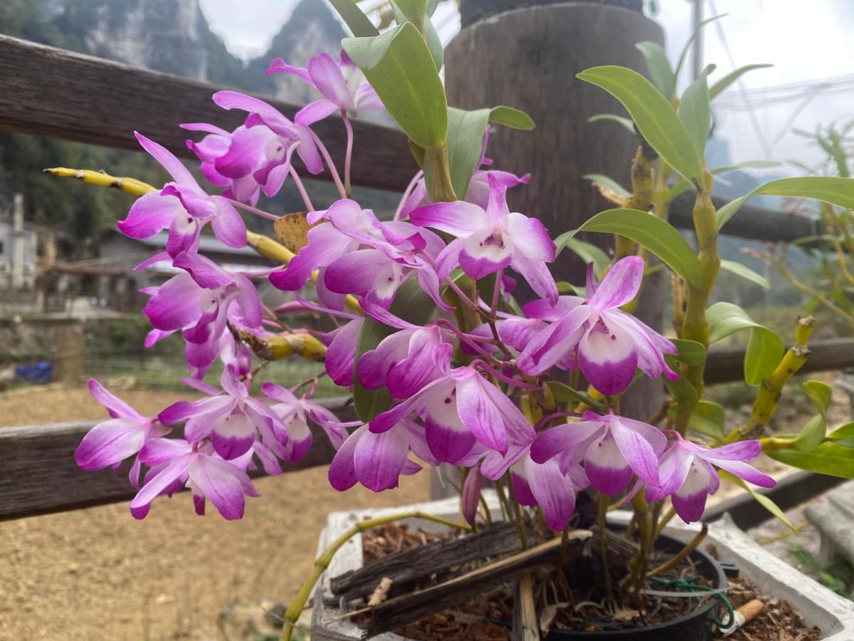 Lan Rung Homestay Lung Nieo ภายนอก รูปภาพ