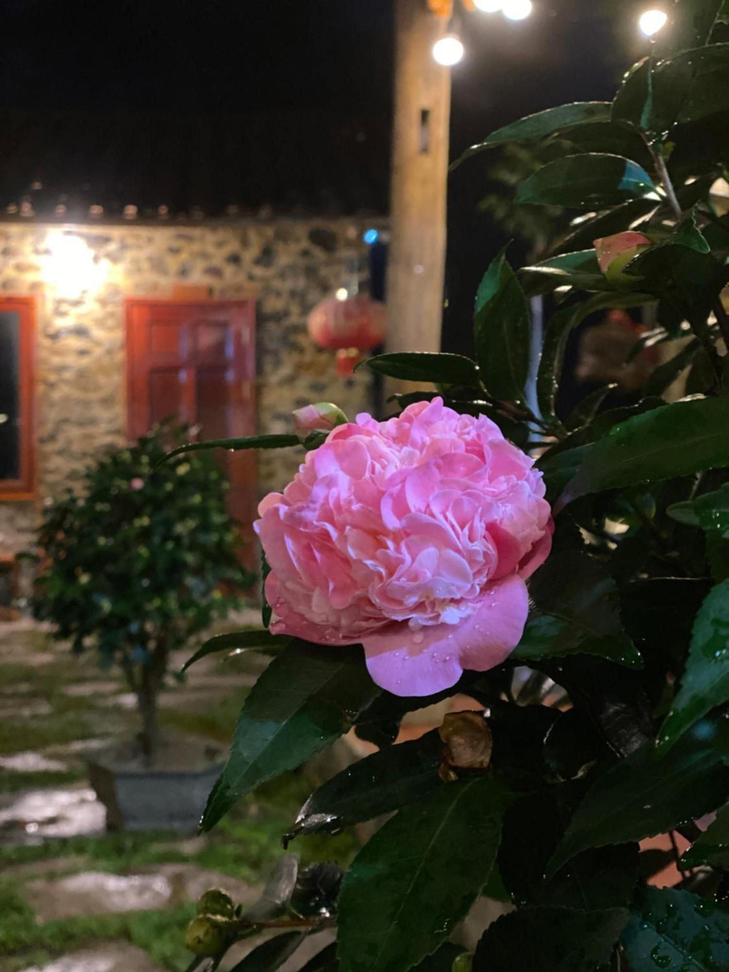 Lan Rung Homestay Lung Nieo ภายนอก รูปภาพ