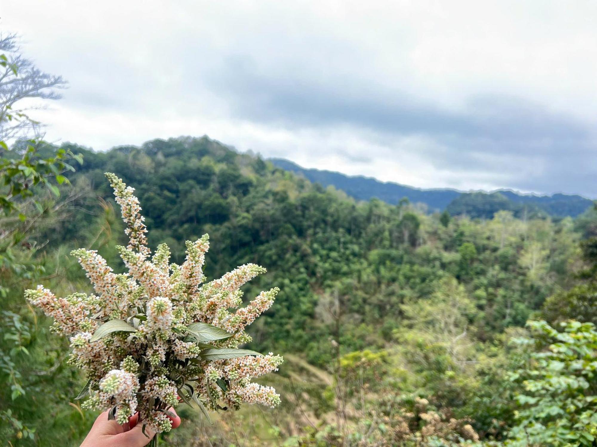 Lan Rung Homestay Lung Nieo ภายนอก รูปภาพ
