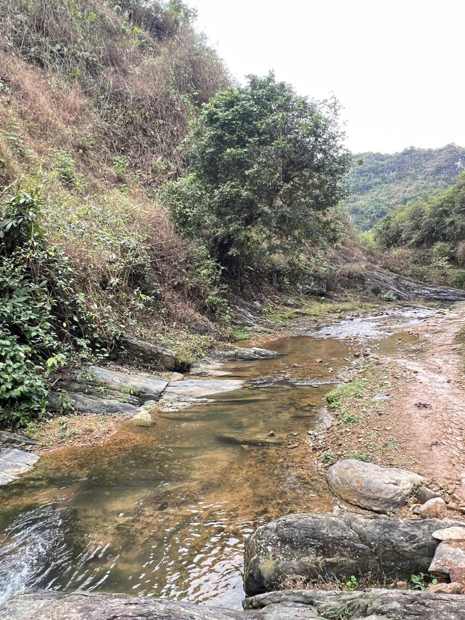Lan Rung Homestay Lung Nieo ภายนอก รูปภาพ