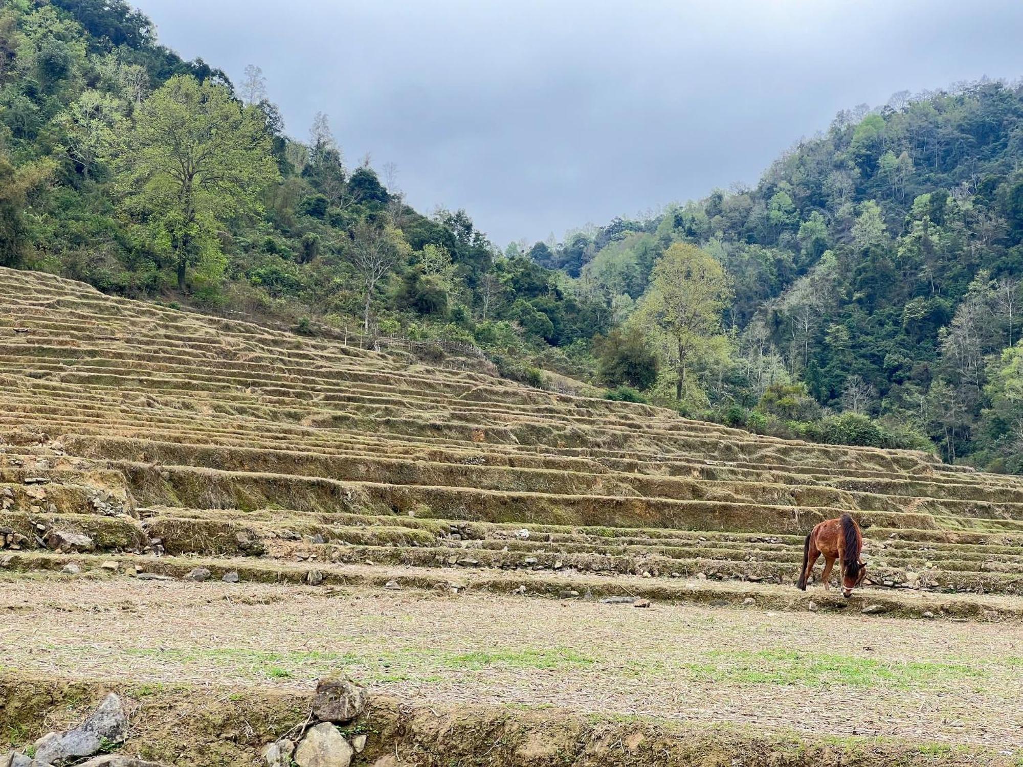 Lan Rung Homestay Lung Nieo ภายนอก รูปภาพ